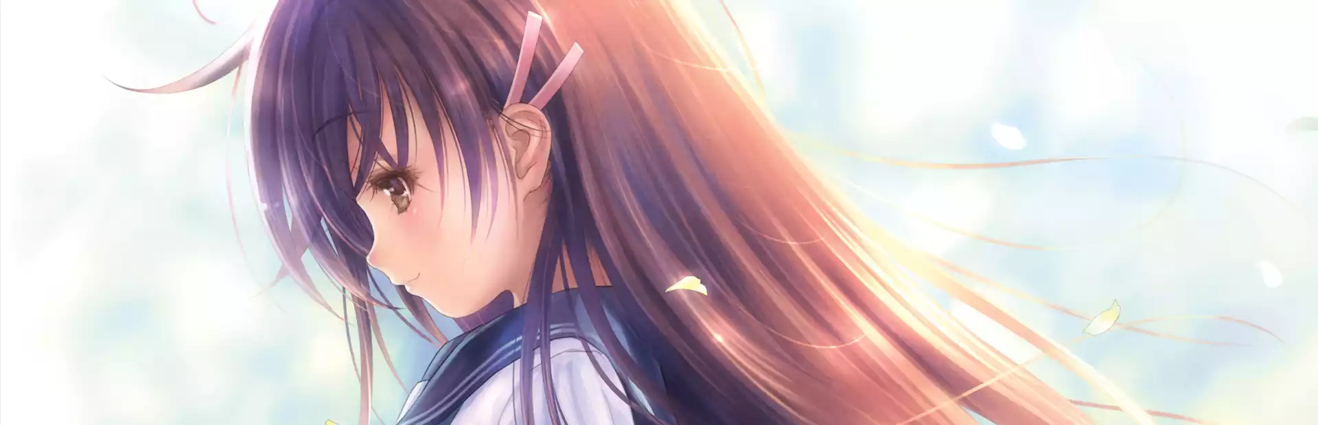Narcissu 10th Anniversary Anthology Project Steam Key GLOBAL