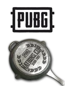 PUBG绝地求生 全明星2019平底锅 Nations Cup 2019 Pan Cd-key/兑换码 全球