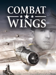 Combat Wings Steam Key GLOBAL