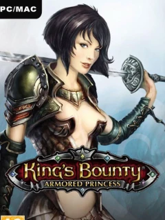 King's Bounty: Armored Princess Steam Key China