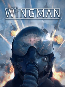 Project Wingman Steam Key China